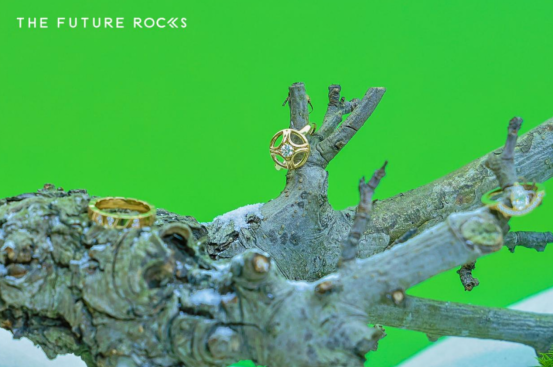 Anthony Tsang采访0525(1)1474.png