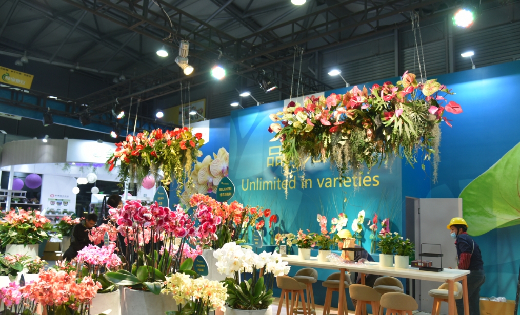 000123.png 000123.png